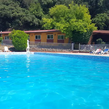 Aurelia Club