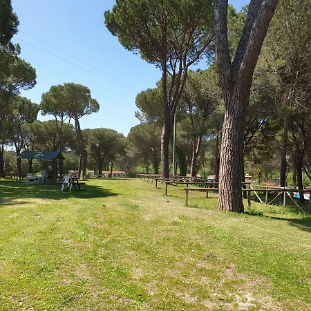 Aurelia Club