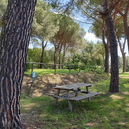 Hotel Aurelia Club